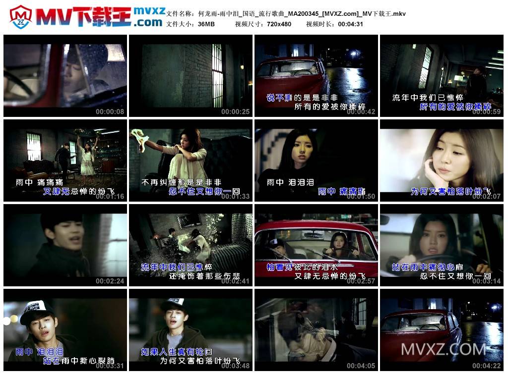 何龙雨-雨中泪_国语_流行歌曲_MA200345